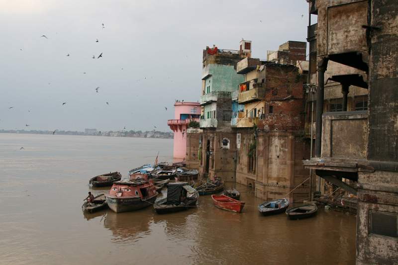 India & Nepal 2011 - 0821